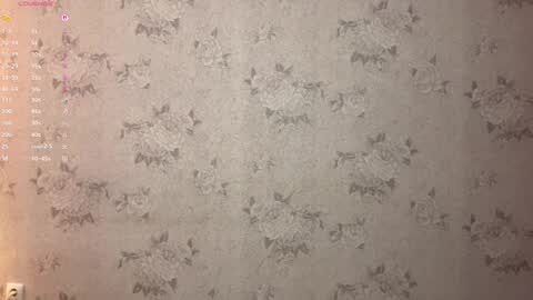 Stephie online show from February 2026 08:04:02 PM