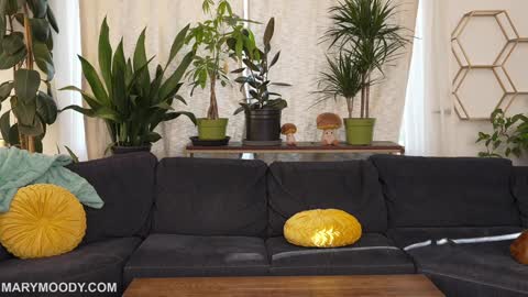 Mary Moody online show from March 2026 12:47:02 AM