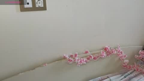 Hi Im Olivia Im new here3 online show from May 2026 03:12:01 AM