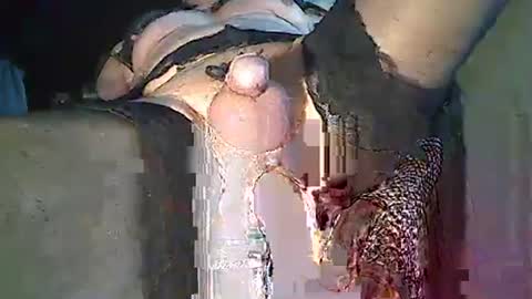 maschpro online show from December 2024 02:37:02 PM