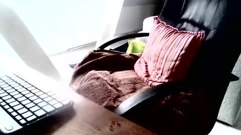 maskime59 online show from December 2024 09:06:01 AM