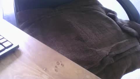 Snapshot of maskime59 chatting on February 2026 01:45:01 PM maskime59 online show from February 2026 01:45:01 PM