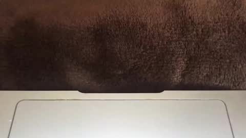 massivehungbigdick online show from June 2026 09:06:02 PM