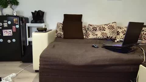 SIR online show from December 2024 02:08:02 PM