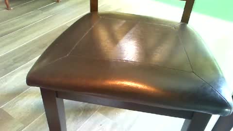 masturbater584277 online show from June 2026 12:22:01 PM