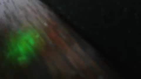 mattw31019 online show from February 2026 08:29:02 PM