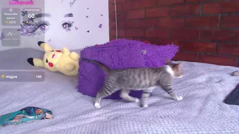 Snapshot of mature_liaa chatting on November 2025 03:34:01 PM Mature liaa online show from November 2025 03:34:01 PM