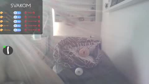 Matyas online show from February 2025 08:12:02 AM