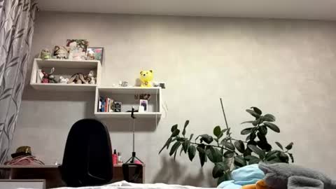 Lina online show from June 2026 10:15:01 AM