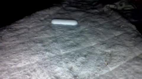 Snapshot of mauricescott chatting on February 2026 06:22:01 AM mauricescott online show from February 2026 06:22:01 AM