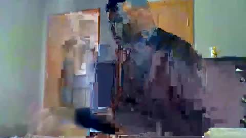 mauricescott online show from April 2026 08:13:02 PM