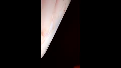 Snapshot of mausaa1199 chatting on March 2026 03:19:02 AM mausaa1199 online show from March 2026 03:19:02 AM