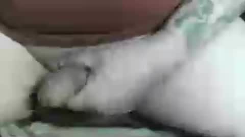 max_gv online show from July 2026 06:05:01 PM