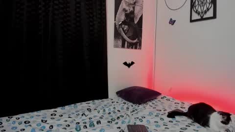 Alex online show from March 2025 04:36:02 AM