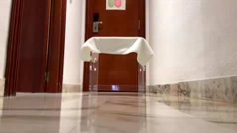 Snapshot of maximo1991 chatting on December 2025 06:19:02 AM maximo1991 online show from December 2025 06:19:02 AM