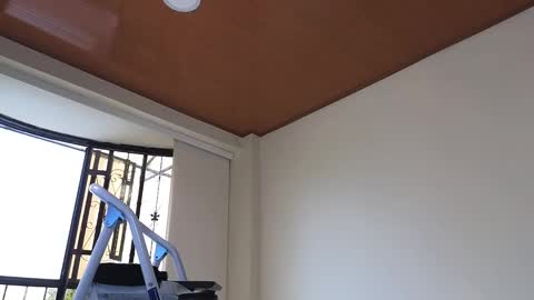 Snapshot of maximohoot chatting on December 2024 07:32:01 PM Sebastian online show from December 2024 07:32:01 PM