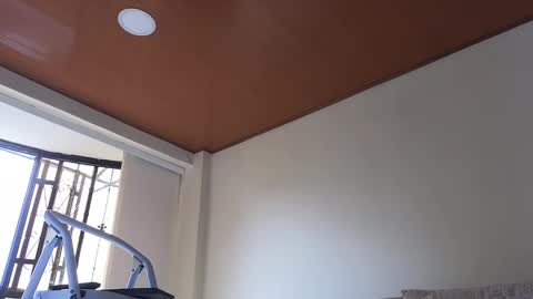 Snapshot of maximohoot chatting on January 2025 03:26:01 PM Sebastian online show from January 2025 03:26:01 PM