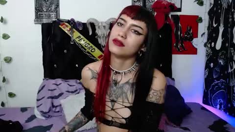 Snapshot of mayaredd chatting on February 2026 06:09:02 AM mayaredd online show from February 2026 06:09:02 AM