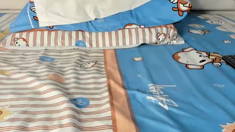 Maybelline69 online show from February 2025 01:16:02 AM