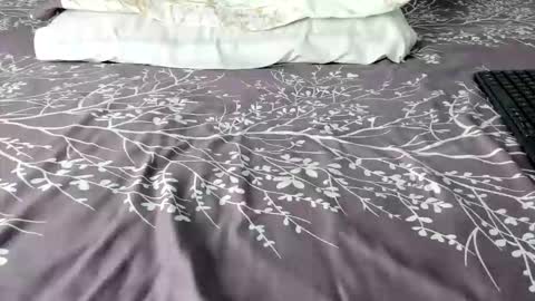 Maybelline69 online show from February 2026 08:45:02 PM