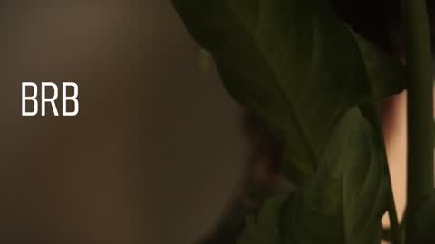 Snapshot of maymary_ chatting on December 2024 08:58:02 AM Mary . online show from December 2024 08:58:02 AM