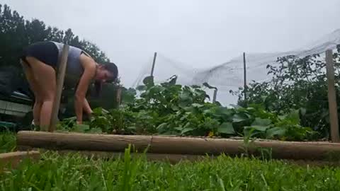 Mazey Rayne online show from July 2026 03:54:02 PM