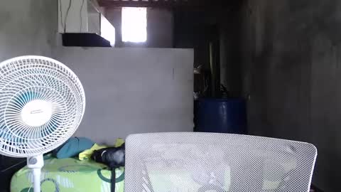 Mcgregor online show from December 2024 05:16:01 PM