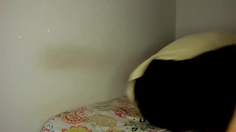 mcloviin_ online show from February 2026 08:45:01 AM