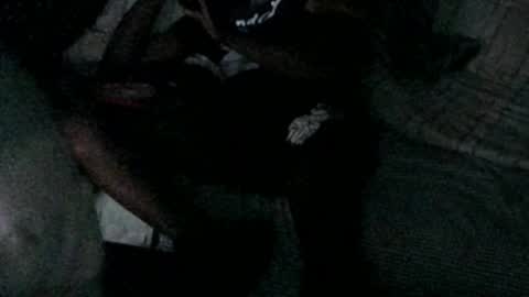 Snapshot of mdd2log chatting on March 2026 09:25:01 AM mdd2log online show from March 2026 09:25:01 AM