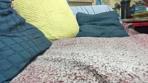 Snapshot of mechanic369_ chatting on September 2025 04:37:02 AM Verbal Daddy online show from September 2025 04:37:02 AM