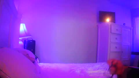 Snapshot of mecrago chatting on January 2026 08:09:02 AM mecrago online show from January 2026 08:09:02 AM