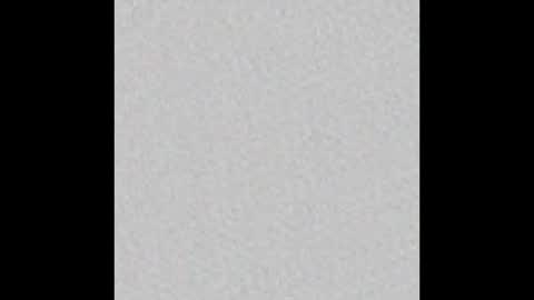 Coral online show from January 2026 03:23:02 AM