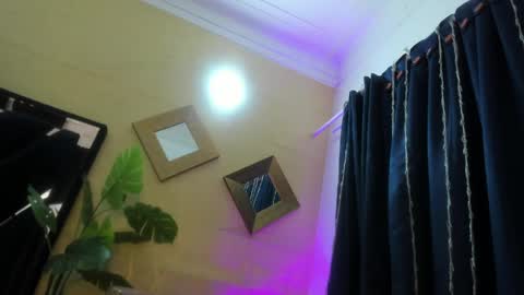     online show from May 2026 11:06:02 AM