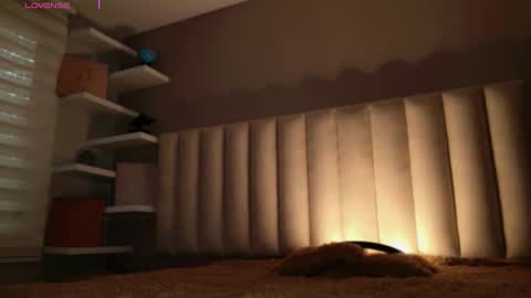     online show from November 2025 12:04:01 PM