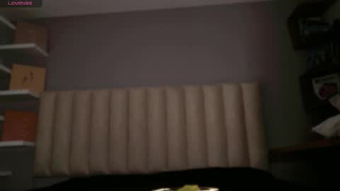     online show from February 2026 12:37:02 PM