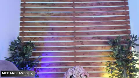 megan_raiin online show from November 2025 08:41:01 AM