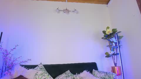 megan_shyne online show from June 2026 04:53:02 AM