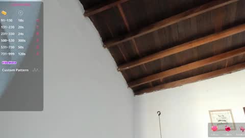 Snapshot of meghan_taylor__ chatting on January 2025 07:04:01 PM Meghan online show from January 2025 07:04:01 PM