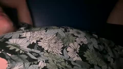 Snapshot of mejiayo chatting on March 2025 10:11:02 AM Mr. Meh online show from March 2025 10:11:02 AM