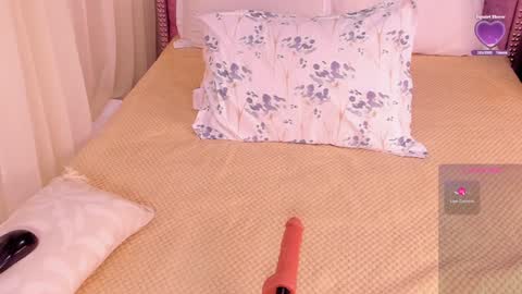 Snapshot of melanie_milleer chatting on January 2025 10:17:01 AM Melanie Miller online show from January 2025 10:17:01 AM