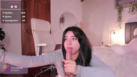 Snapshot of melanie_owo chatting on December 2024 04:47:02 PM Melanie online show from December 2024 04:47:02 PM