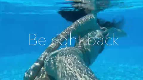 Adel online show from November 2025 09:48:02 PM