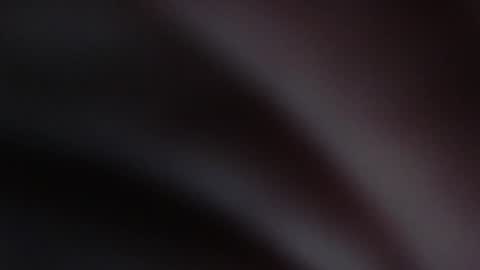 Snapshot of melefesenta chatting on January 2025 08:32:02 AM Erica online show from January 2025 08:32:02 AM