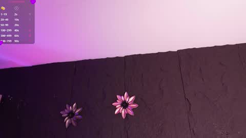 Melissa online show from January 2026 01:27:02 PM