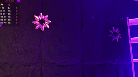 Melissa online show from February 2026 01:48:02 PM