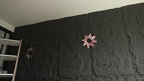 Melissa online show from February 2026 12:44:02 PM