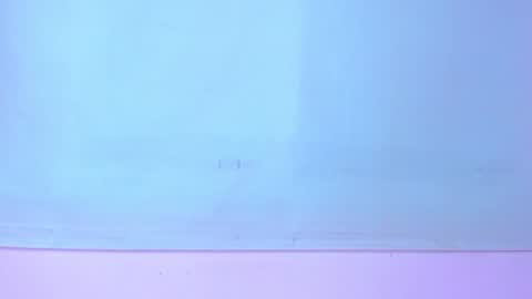 Meli online show from January 2025 10:08:02 PM