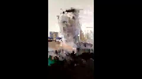 Snapshot of melissaknowles46 chatting on February 2026 12:59:02 PM melissaknowles46 online show from February 2026 12:59:02 PM