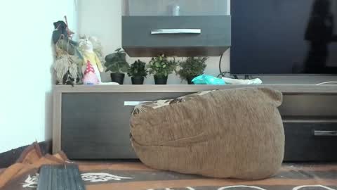 Snapshot of mellbell_ chatting on February 2025 11:02:02 PM MellyMell online show from February 2025 11:02:02 PM