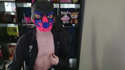 Snapshot of mellpup chatting on April 2026 04:26:01 PM MellPUP online show from April 2026 04:26:01 PM